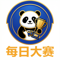 每日大赛